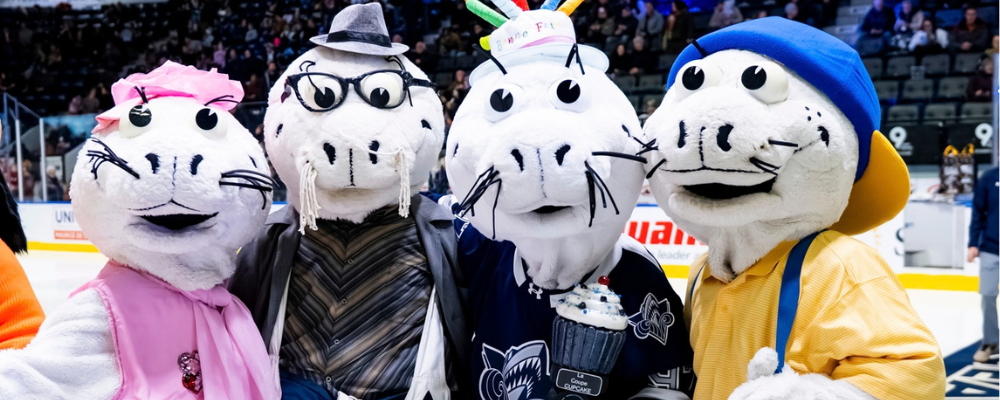 Les Voltigeurs vs L'Océanic